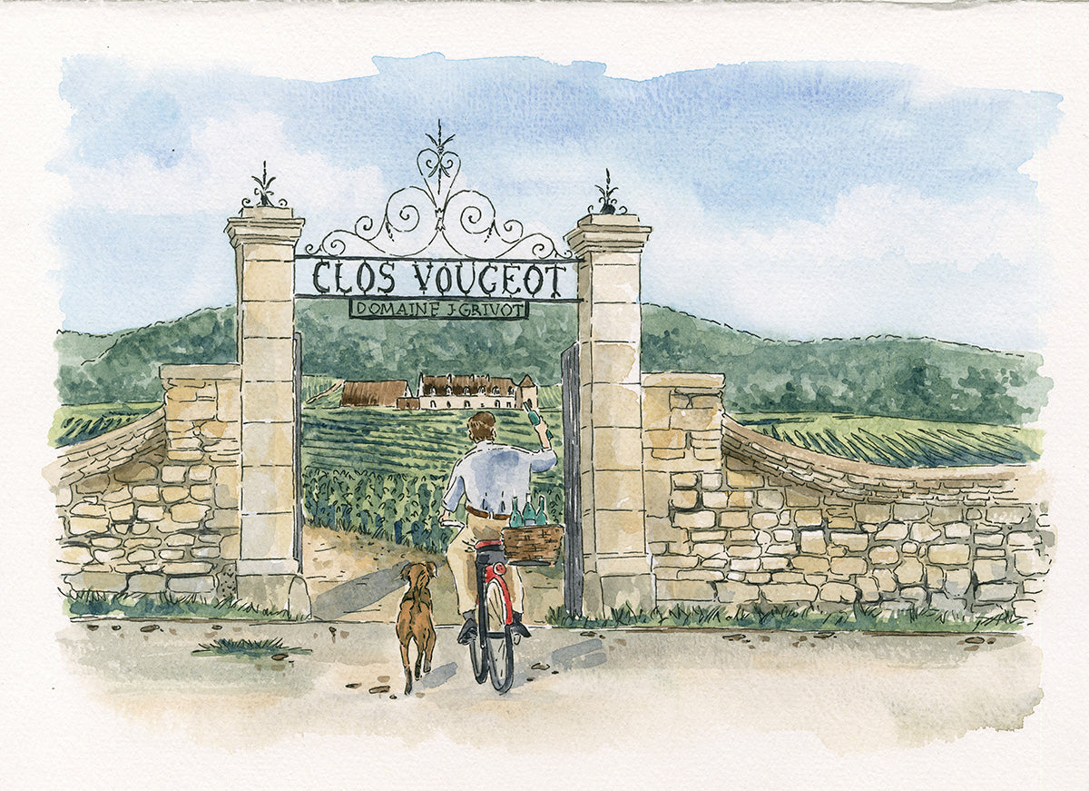 Journey to Burgundy Mixed Case