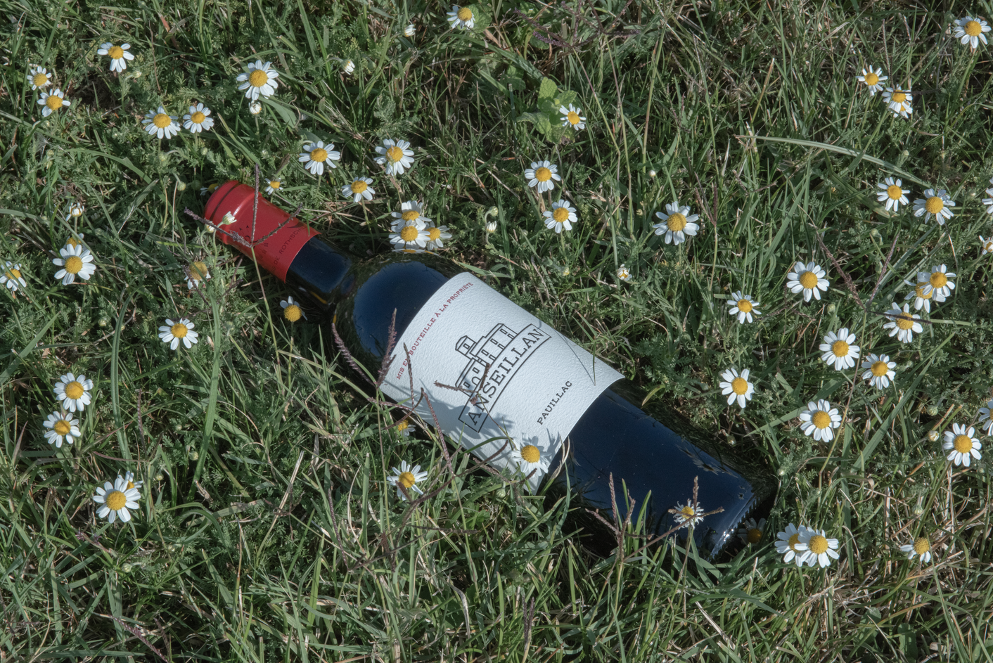 Merlot Collection: Order It. We're Not Going Anywhere.