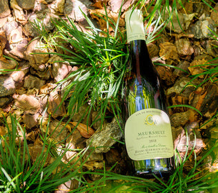 There's Nothin' Quite Like Crisp White Wine