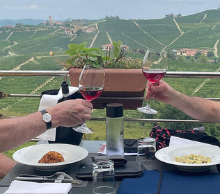 Travel Diaries with Wayne Visser & Derek Kilpin of Great Domaines