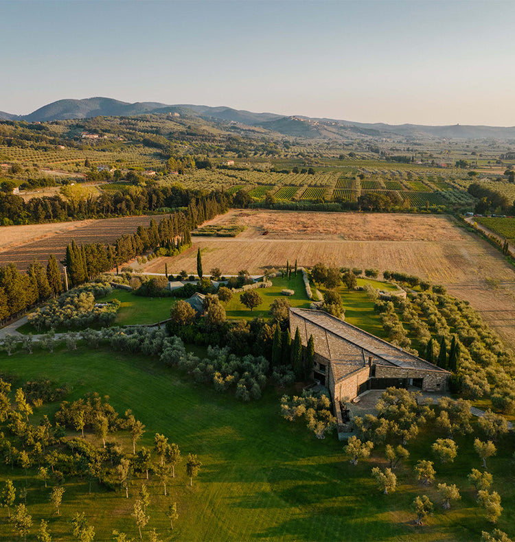 Ca'Marcanda, Bolgheri
