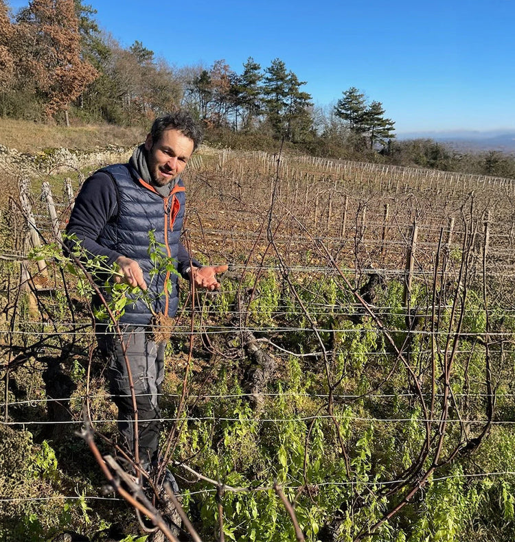 Domaine Benoît Moreau