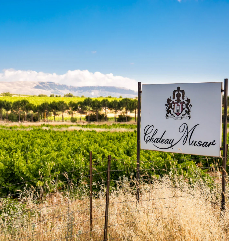 Musar Box Château Musar – Great Domaines