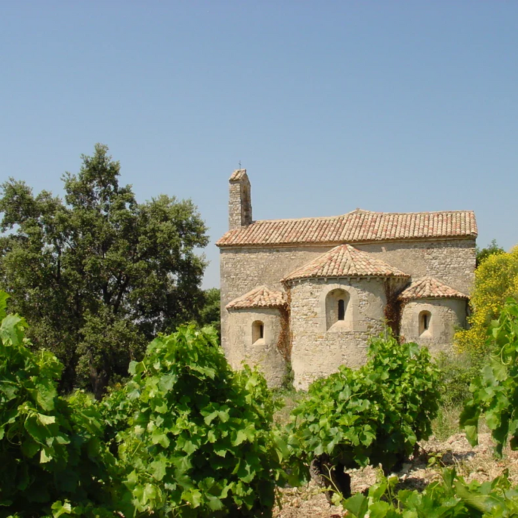 Château de Saint Cosme