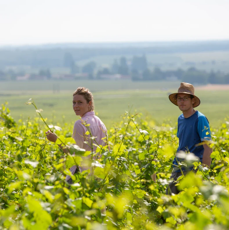 Domaine Jean Grivot