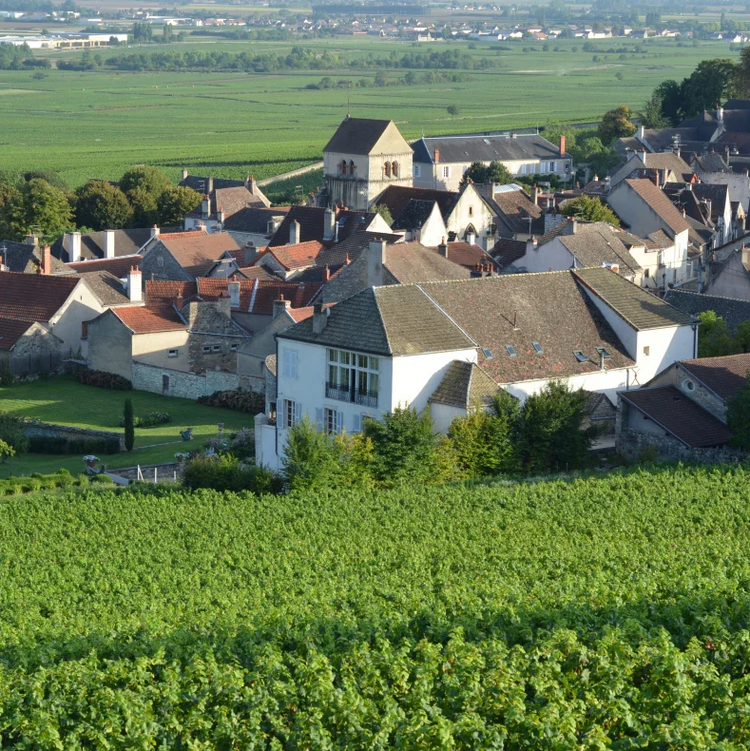 Domaine Marquis d’Angerville