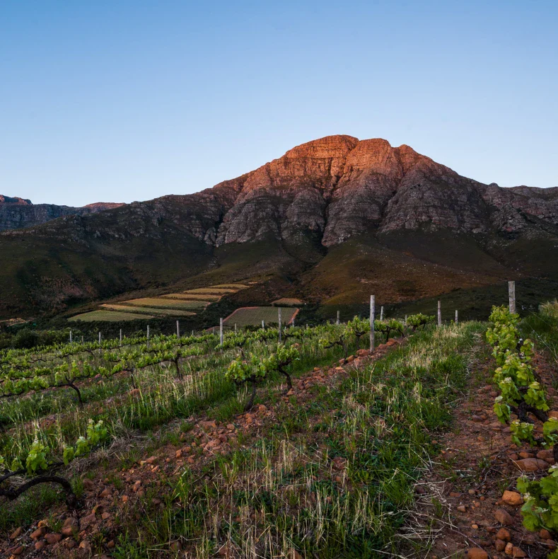 Keermont Vineyards