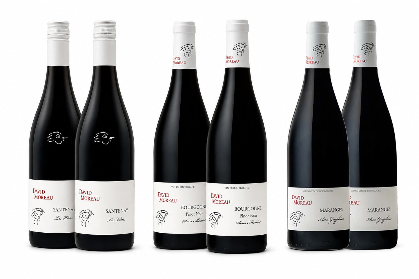 Domaine David Moreau 6-bottle Mixed Case