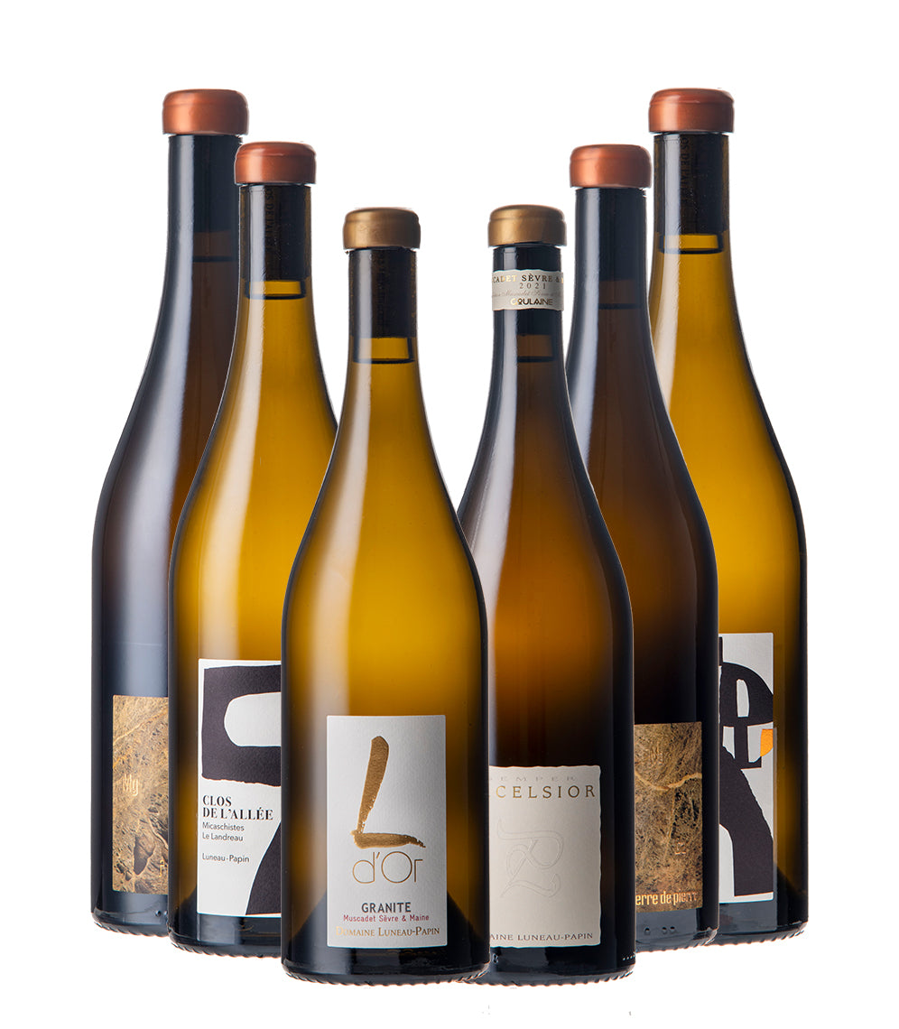Domaine Luneau-Papin Muscadet 6-bottle case
