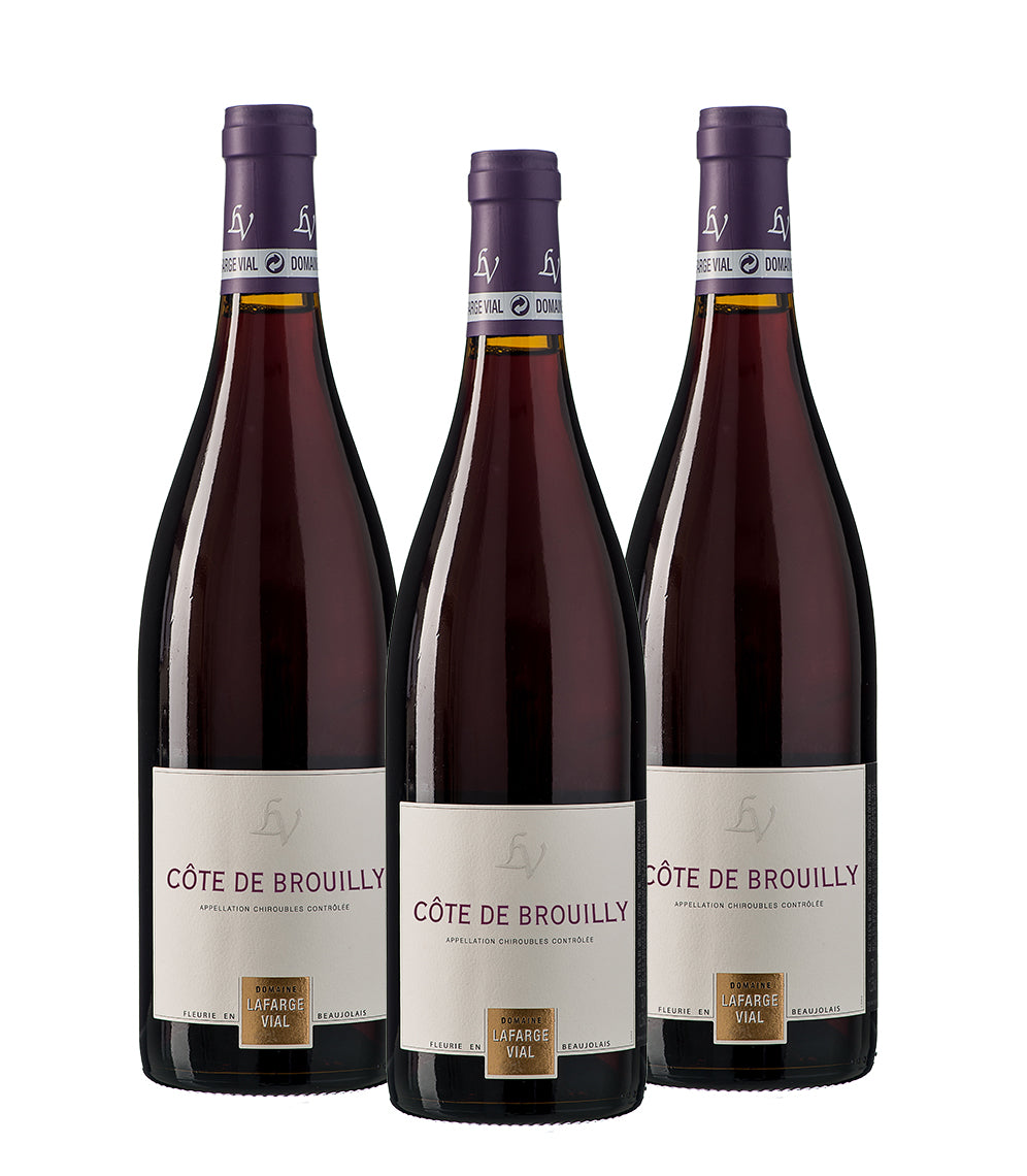 Domaine Lafarge-Vial Côte de Brouilly 6-Bottle Mixed Case