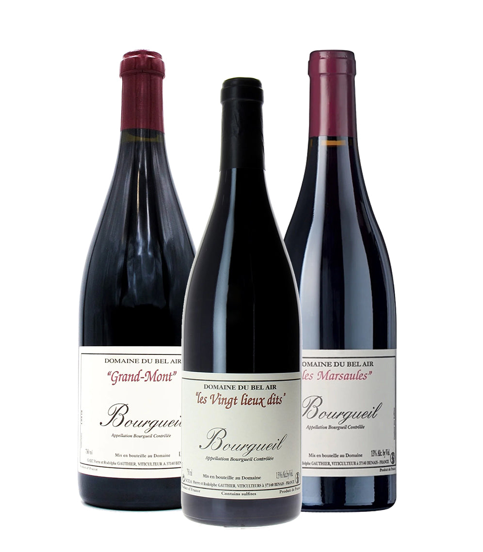 Domaine du Bel Air Bourgueil Grand-Mont & Friends Mixed Case