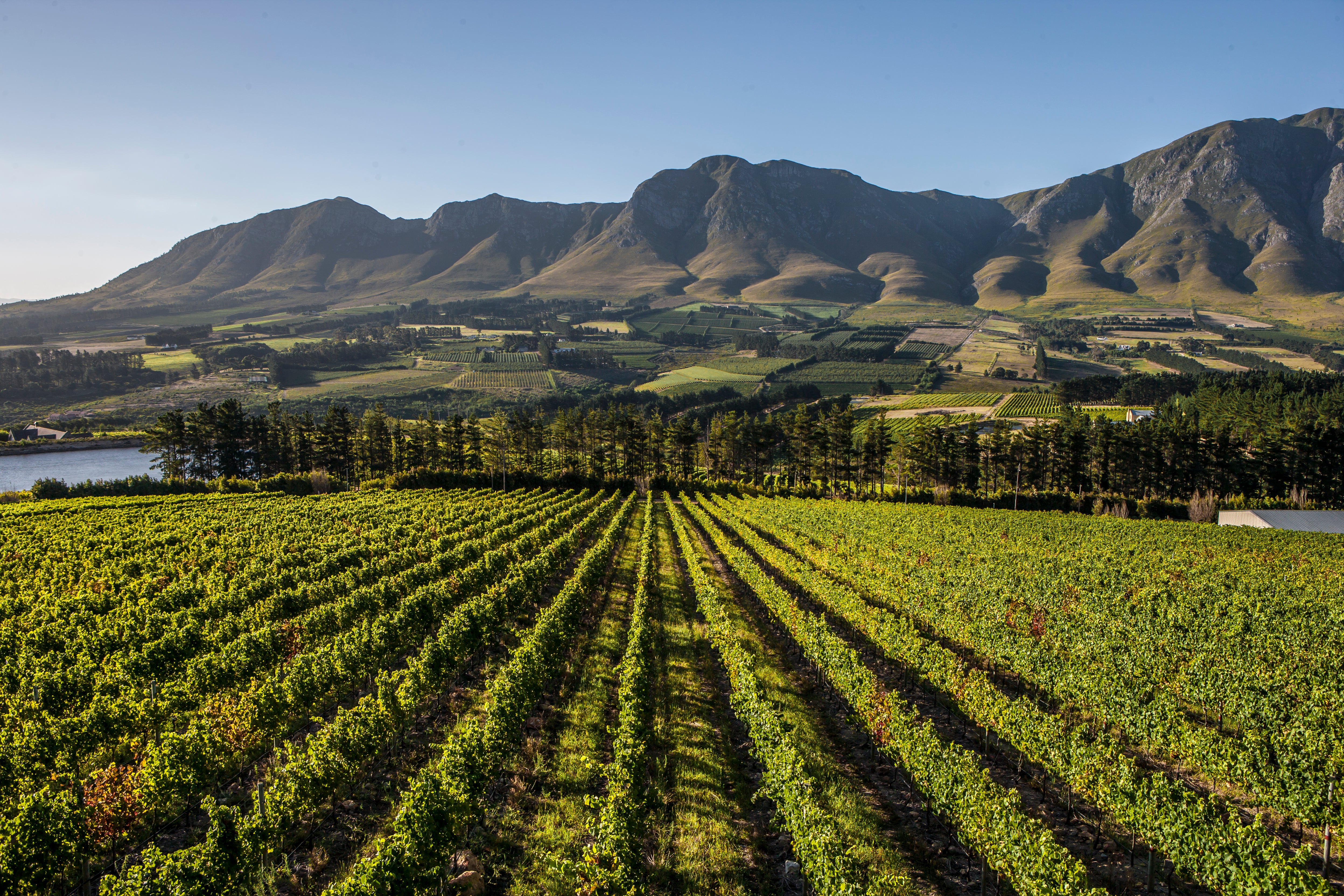 South Africa