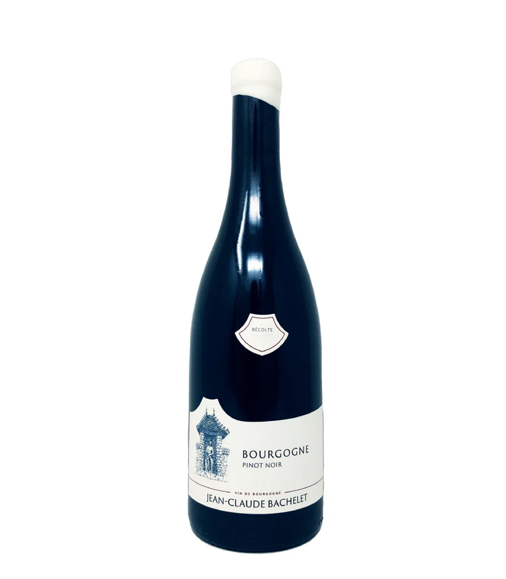 Domaine Jean-Claude Bachelet Bourgogne Pinot Noir 2022