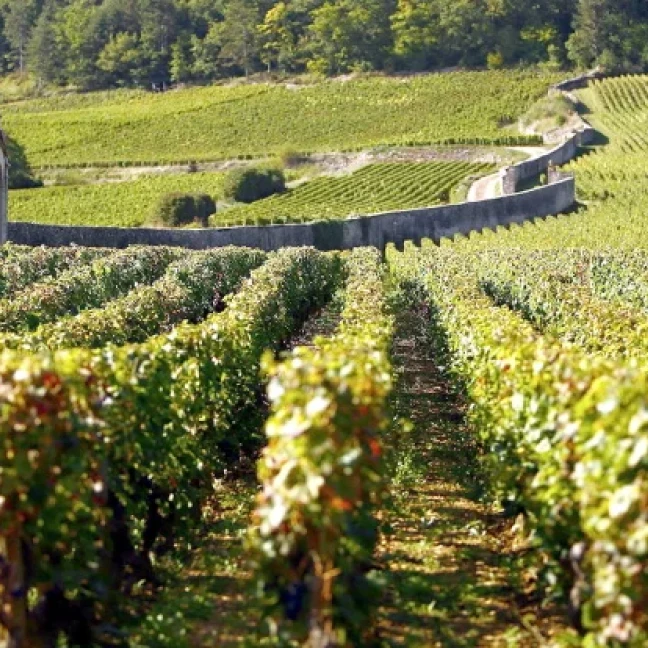 Domaine Rouse Domaine Armand Rousseau – Great Domaines
