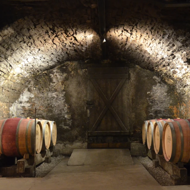 Domaine Henri Gouges – Great Domaines